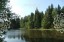 Продажа земельного участка село Кленово