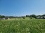 Продажа земельного участка Хязельки