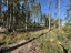 Продажа земельного участка Пески, Алых Парусов