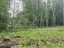 Продажа земельного участка Ларионово, Ольховая