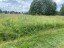 Продажа земельного участка Большие Озертицы, 24