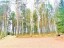 Продажа земельного участка Удальцово