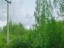 Продажа земельного участка Путилово