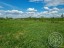 Продажа земельного участка Красное Село, Родниковая