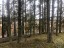 Продажа земельного участка Селезнево, Центральный, к.нт.