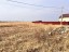 Продажа земельного участка Луховицы, Молодежный-3, Энтузиастов