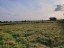 Продажа земельного участка Петергоф, Ольгинское