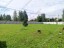 Продажа земельного участка Можайск, Авдотьино