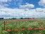 Продажа земельного участка Большое Забородье