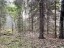 Продажа земельного массива Вещево поселок при железнодорожной стан