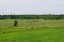 Продажа земельного массива Заостровье