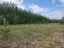 Продажа земельного участка Бор