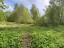 Продажа земельного участка 1-я Утиная