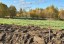 Продажа земельного участка Скотное, Ленинградская