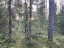 Продажа земельного массива Вещево поселок при железнодорожной стан