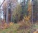 Продажа земельного участка Зеленая Роща