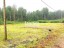 Продажа земельного участка Коробицыно