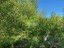 Продажа земельного участка Кротово