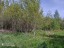 Продажа земельного участка Павловский Посад, Оптимист, к.нт