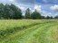 Продажа земельного участка Большие Озертицы, 24