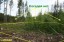 Продажа земельного участка Поляны