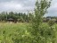 Продажа земельного участка Клин, Акатово
