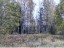 Продажа земельного массива Селезнево, Лесная