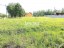 Продажа земельного участка Денисово