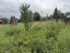 Продажа земельного участка Клин, Акатово