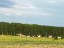 Продажа земельного участка Сельцо