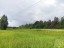Продажа земельного участка Борки