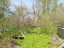 Продажа земельного участка Красное Село