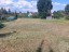 Продажа земельного участка Наволок, Барская, 2