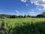 Продажа земельного участка Устье
