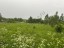 Продажа земельного участка Щелково, к.ело