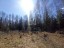 Продажа земельного участка Ильичёвская, Новопетровская