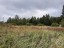 Продажа земельного участка Ромашки