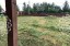 Продажа земельного участка Клин, Кореньки