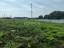 Продажа земельного участка деревня Юрово, 202