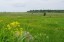 Продажа земельного массива Заостровье