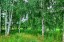 Продажа земельного массива Кубинка