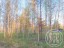 Продажа земельного участка Правдино