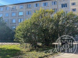 Сестрорецк, Борисова, 8 к. 2 литер Б