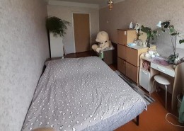Зимитицы, 1