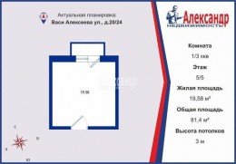Васи Алексеева, 20/24